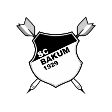 SC Bakum Darts
